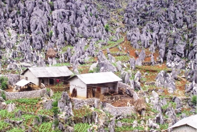 Ha Giang-Dong Van Rocky Plateau 