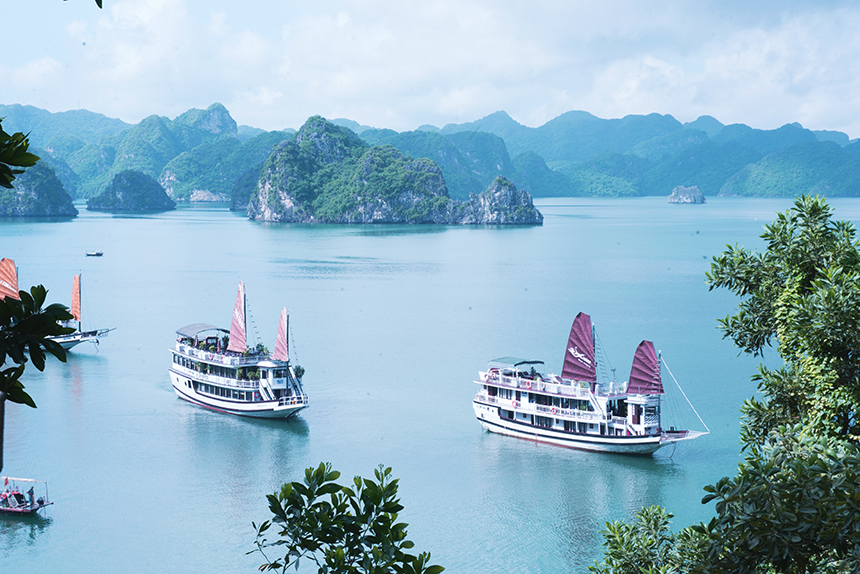 Swan Cruises to Bai Tu Long Bay