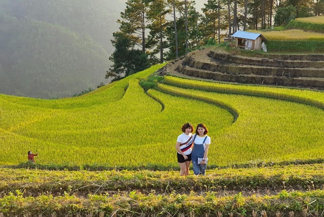 Rice Terraces in Vietnam