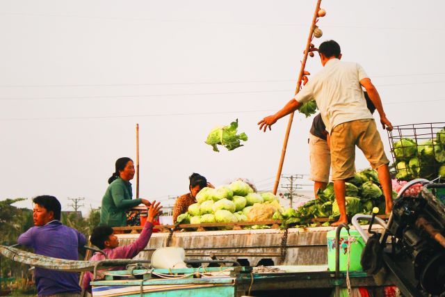 Cai Rang Floating Market-Mekong Delta